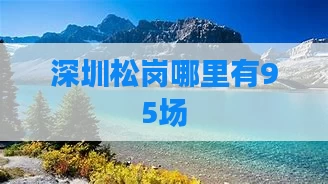 深圳松岗哪里有95场