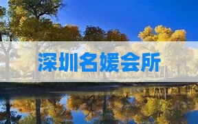 深圳名媛会所