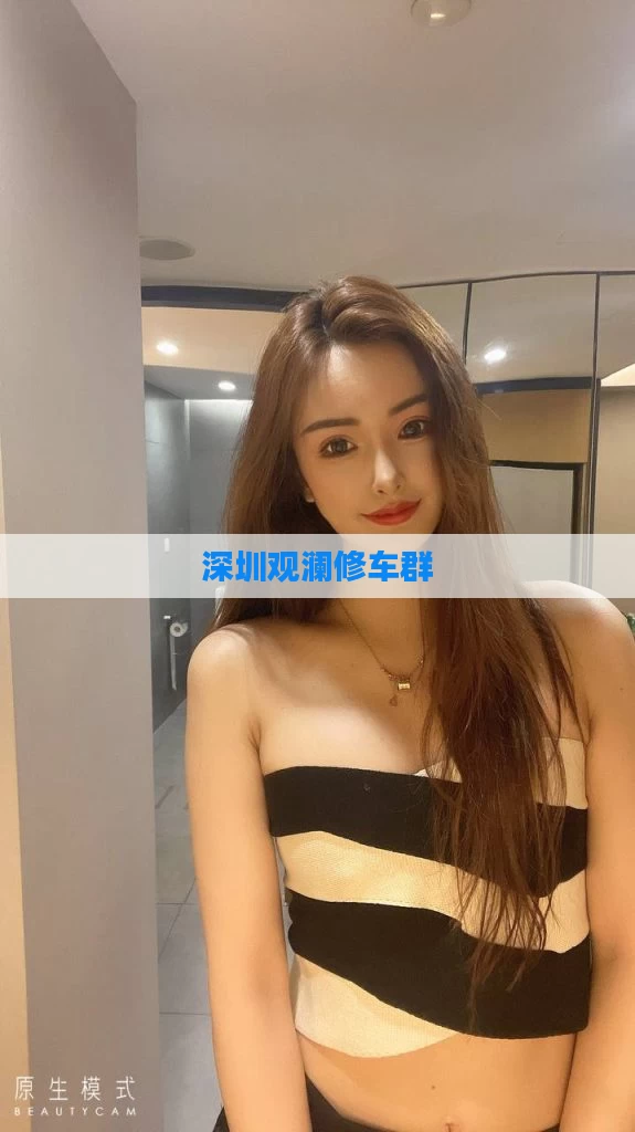 深圳观澜修车群