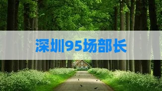 深圳95场部长