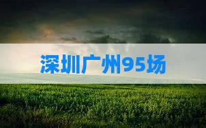 深圳广州95场