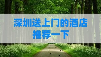 深圳送上门的酒店推荐一下