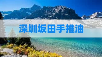 深圳坂田手推油