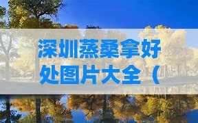 深圳蒸桑拿好处图片大全(深圳汗蒸)