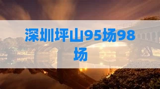 深圳坪山95场98场
