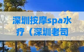 深圳按摩spa水疗(深圳老司机介绍水疗会所)