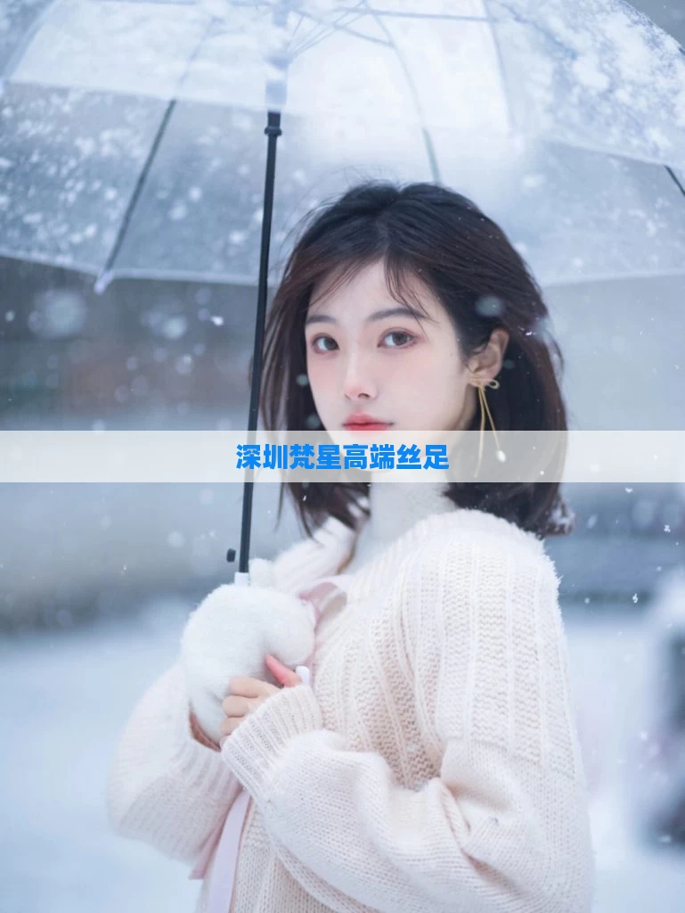 深圳梵星高端丝足