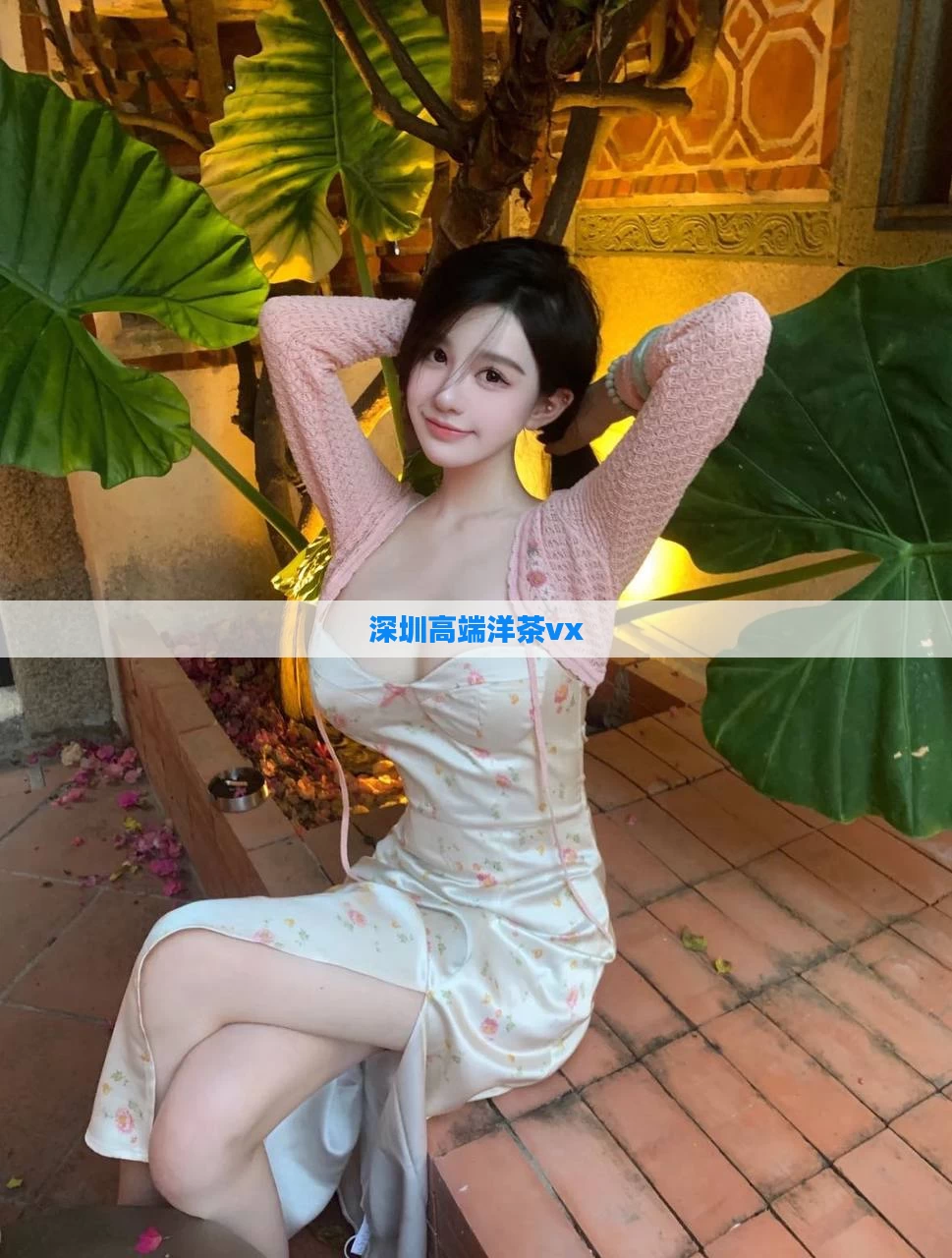 深圳高端洋茶vx