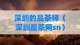 深圳的品茶师（深圳品茶网sn）