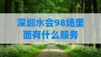 深圳水会98场里面有什么服务