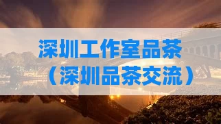 深圳工作室品茶(深圳品茶交流)