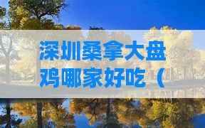 深圳桑拿大盘鸡哪家好吃(深圳哪里有大盘菜订)