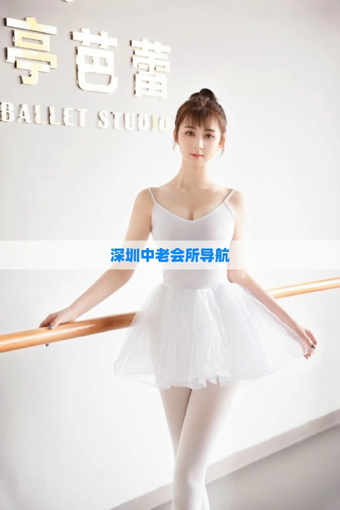 深圳中老会所导航