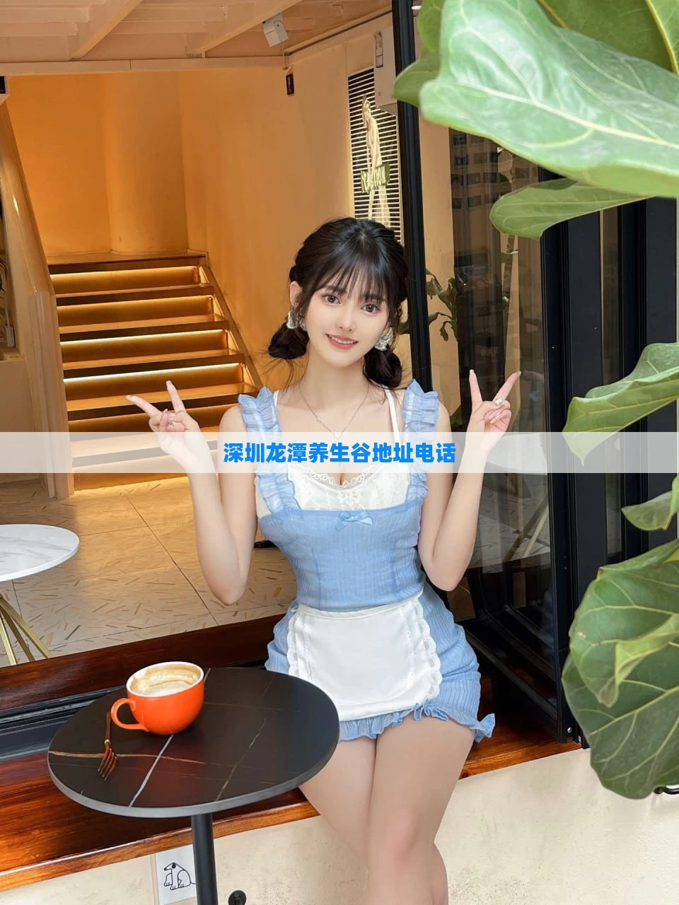 深圳龙潭养生谷地址电话