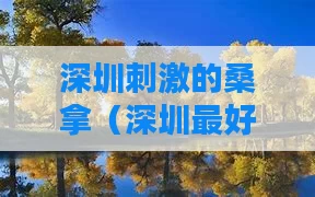 深圳刺激的桑拿(深圳最好桑拿排名榜)