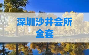 深圳沙井会所全套