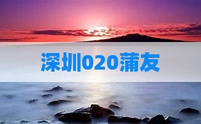 深圳020蒲友