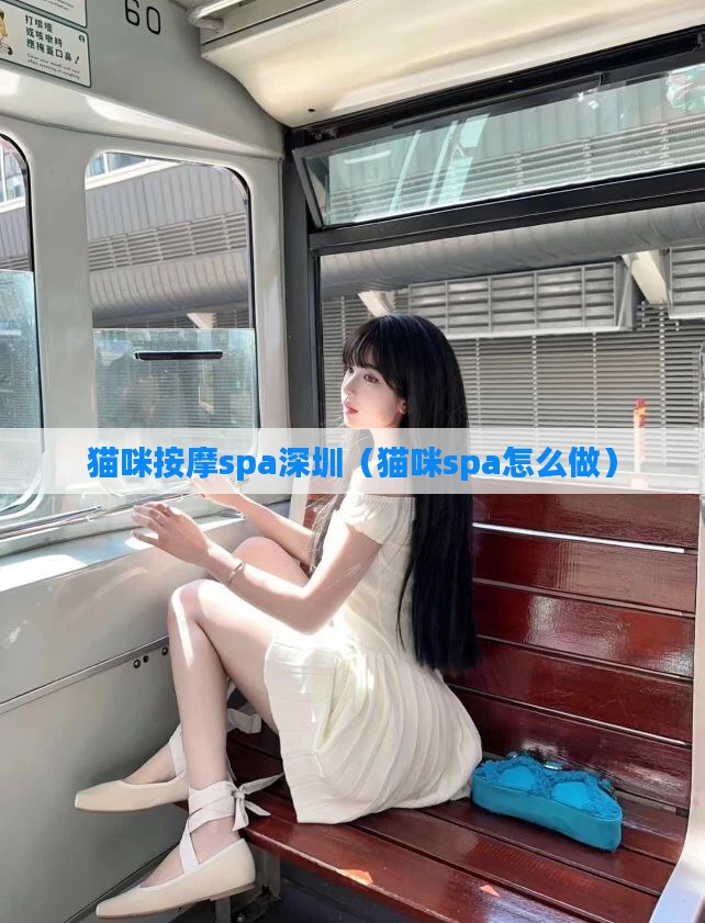 猫咪按摩spa深圳（猫咪spa怎么做）
