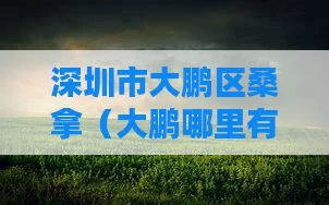 深圳市大鹏区桑拿（大鹏哪里有休闲会所）