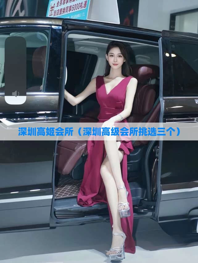 深圳高姬会所(深圳高级会所挑选三个)