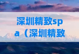 深圳精致spa（深圳精致机柜有限公司）