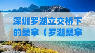 深圳罗湖立交桥下的桑拿（罗湖桑拿各场的体验汇总）