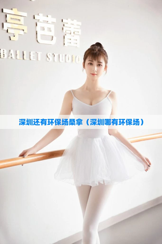 深圳还有环保场桑拿(深圳哪有环保场)