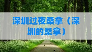 深圳过夜桑拿（深圳的桑拿）