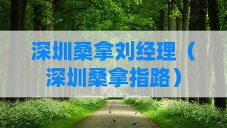 深圳桑拿刘经理（深圳桑拿指路）