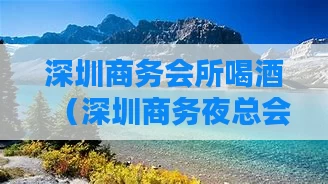 深圳商务会所喝酒（深圳商务夜总会）