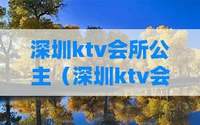 深圳ktv会所公主（深圳ktv会所公主有哪些）