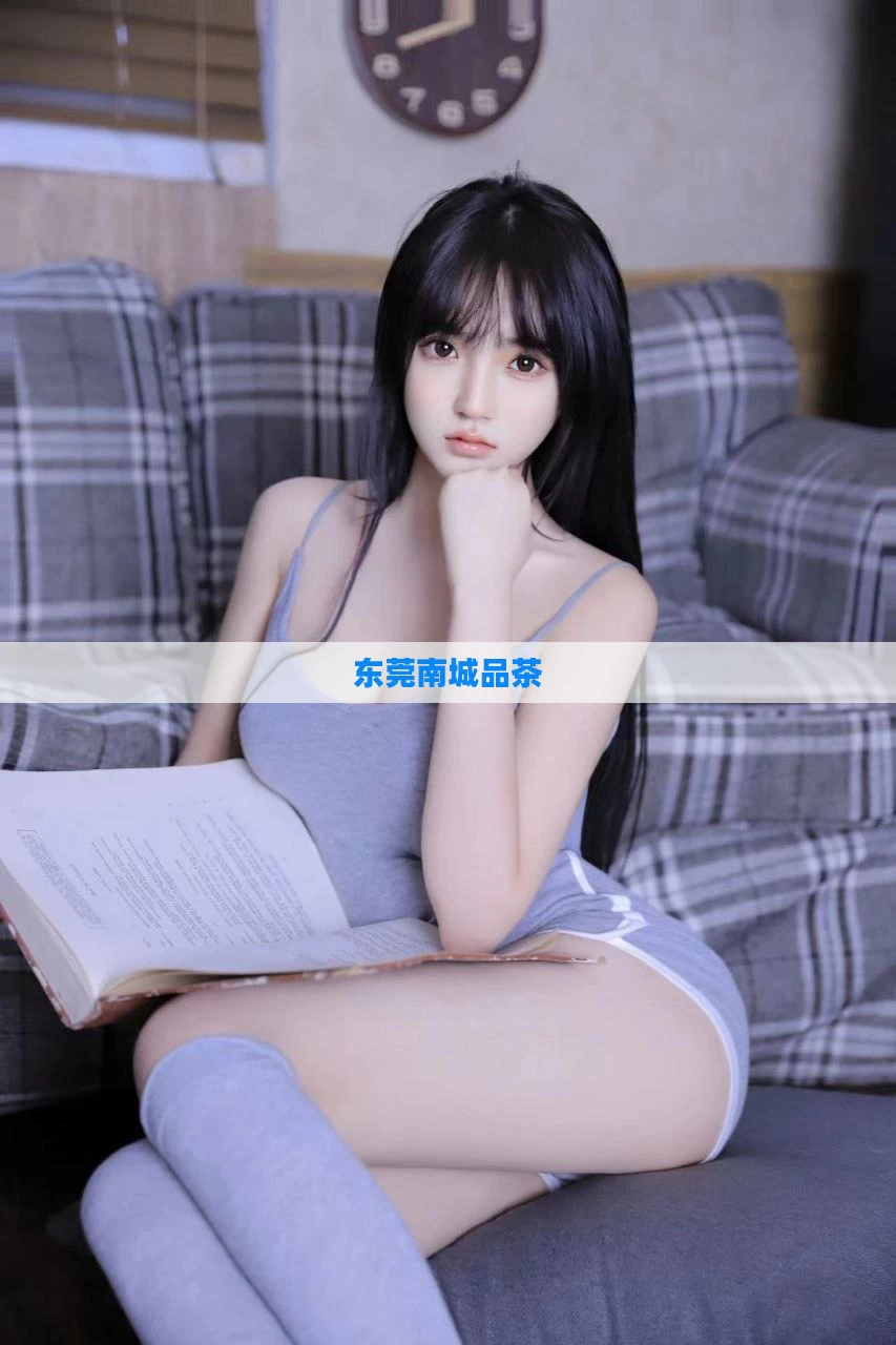 东莞南城品茶