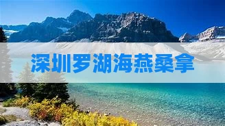深圳罗湖海燕桑拿