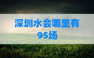 深圳水会哪里有95场