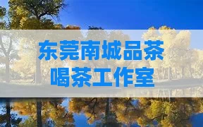 东莞南城品茶喝茶工作室