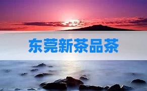 东莞新茶品茶