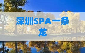 深圳SPA一条龙