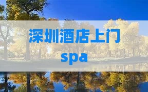 深圳酒店上门spa