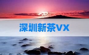 深圳新茶VX