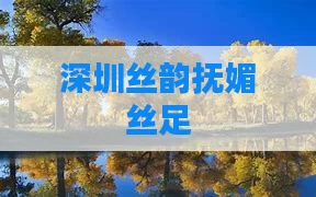 深圳丝韵抚媚丝足
