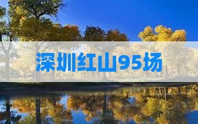 深圳红山95场