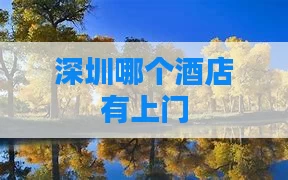 深圳哪个酒店有上门