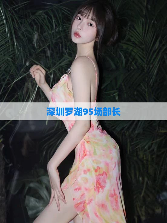 深圳罗湖95场部长