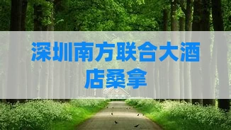 深圳南方联合大酒店桑拿