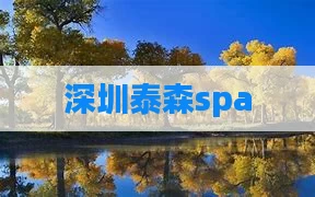 深圳泰森spa