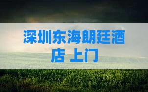 深圳东海朗廷酒店 上门