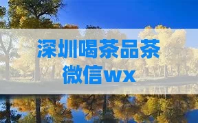 深圳喝茶品茶微信wx