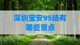 深圳宝安95场有哪些景点