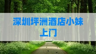 深圳坪洲酒店小妹上门