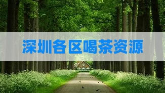 深圳各区喝茶资源